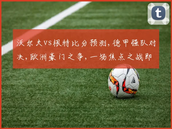 沃尔夫vs根特比分预测,德甲强队对决,欧洲豪门之争,一场焦点之战即将上演,悬念重重。