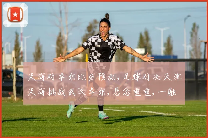 天海对卓尔比分预测,足球对决天津天海挑战武汉卓尔,悬念重重,一触即发,结果如何