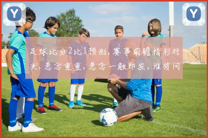 足球比分2比1预测,赛事前瞻精彩对决,悬念重重,悬念一触即发,谁将问鼎
